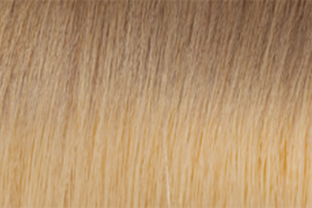 Fusion Extensions: Ombre #18/#22