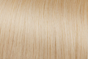 Clip In Extensions: Lightest Ash Blonde #60